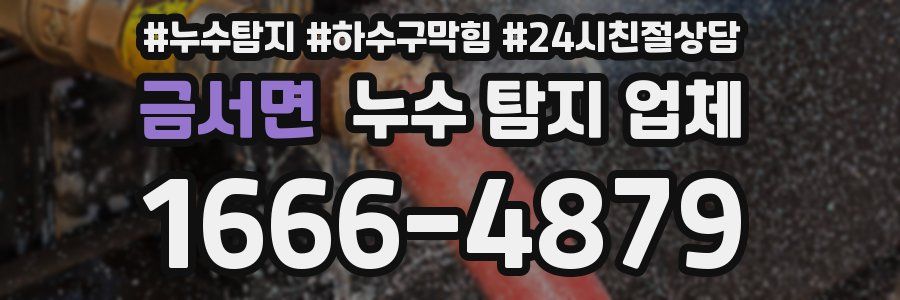 금서면 누수 탐지 업체