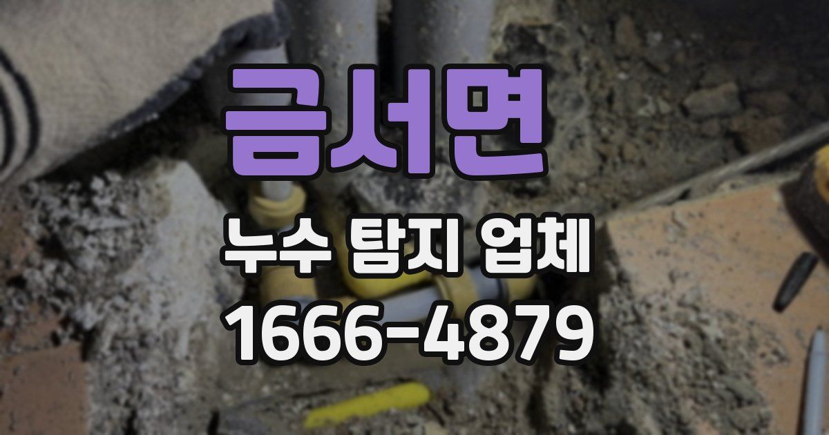 금서면 누수 탐지 업체