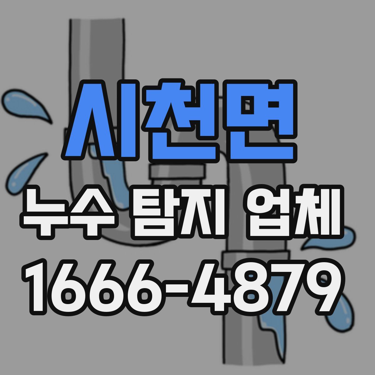 시천면 누수 탐지 업체