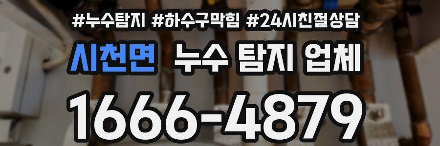 시천면 누수 탐지 업체
