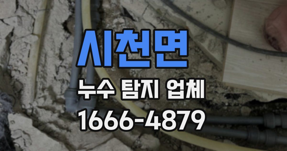 시천면 누수 탐지 업체