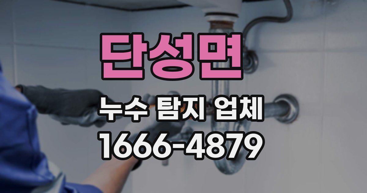 단성면 누수 탐지 업체