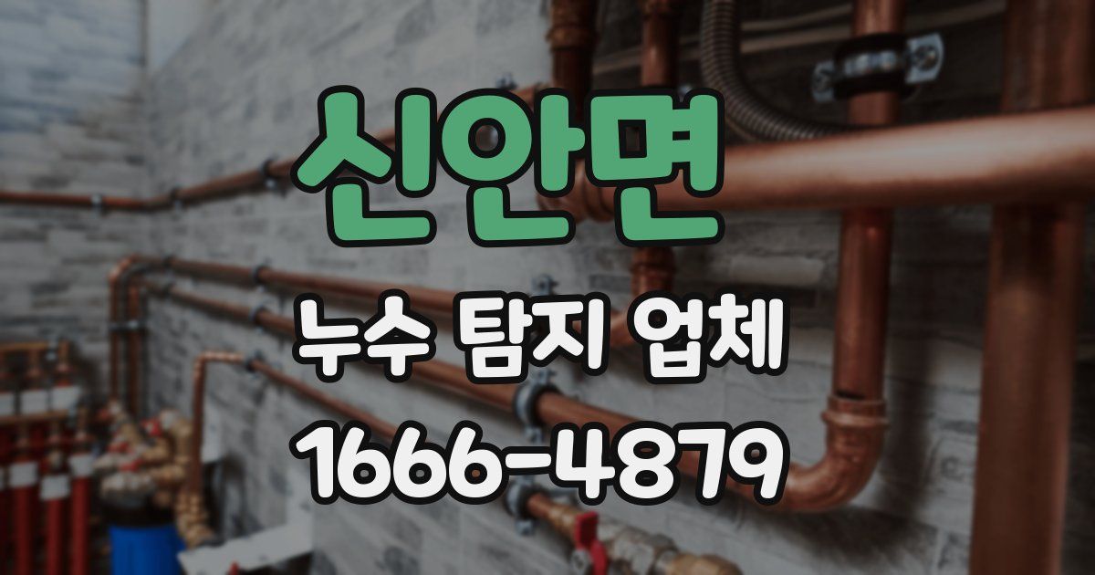 신안면 누수 탐지 업체