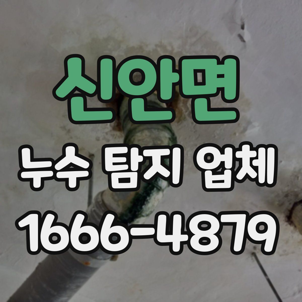 신안면 누수 탐지 업체