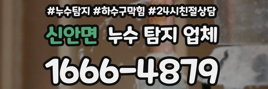신안면 누수 탐지 업체