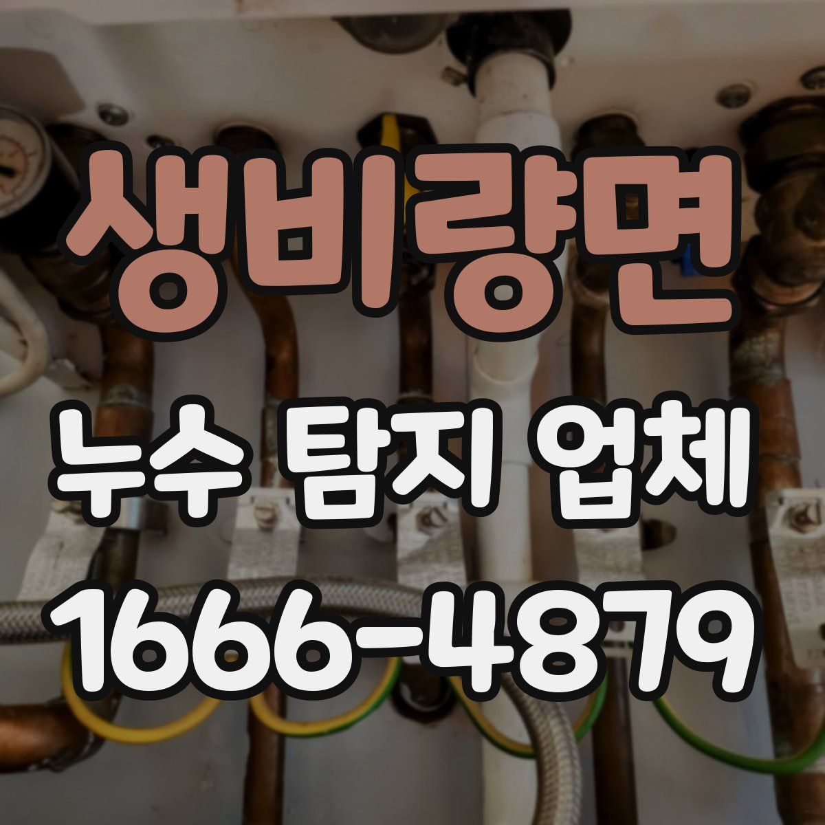생비량면 누수 탐지 업체