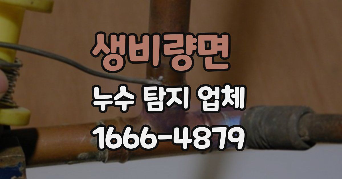 생비량면 누수 탐지 업체
