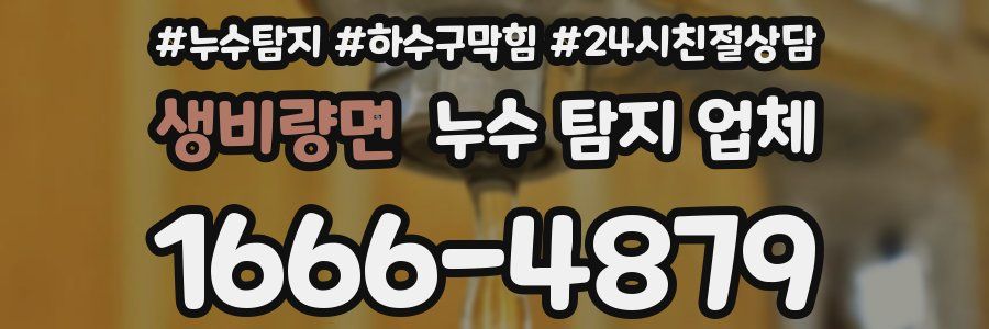 생비량면 누수 탐지 업체