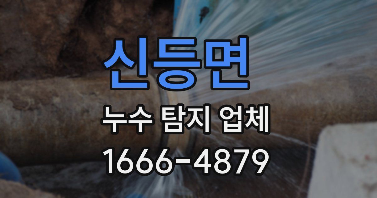 신등면 누수 탐지 업체