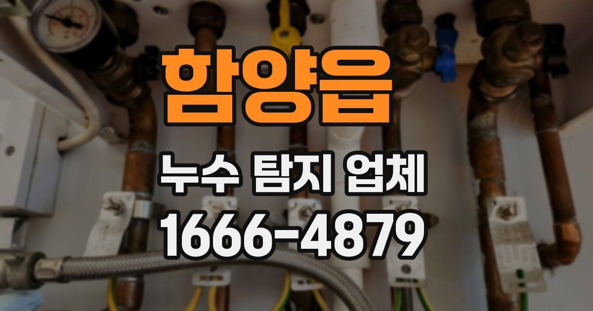 함양읍 누수 탐지 업체