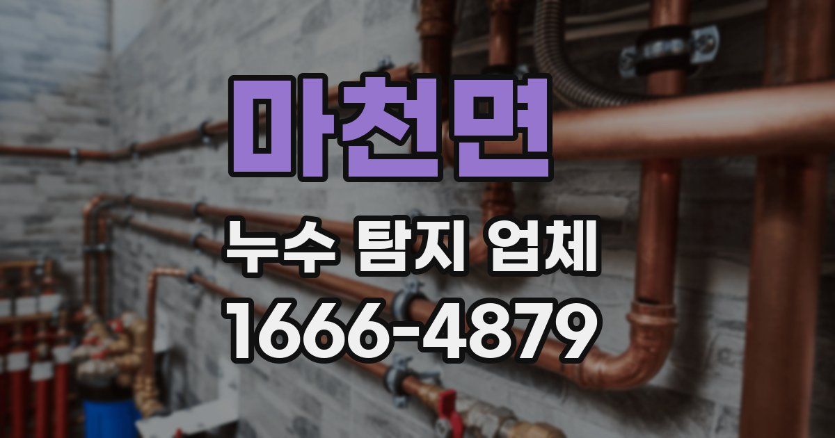 마천면 누수 탐지 업체
