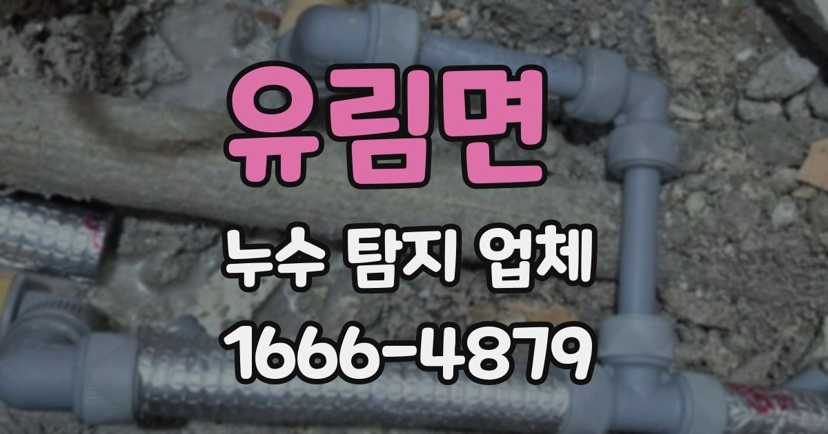 유림면 누수 탐지 업체