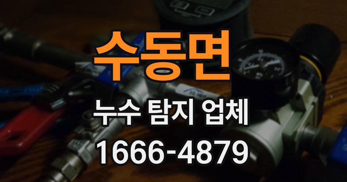 수동면 누수 탐지 업체