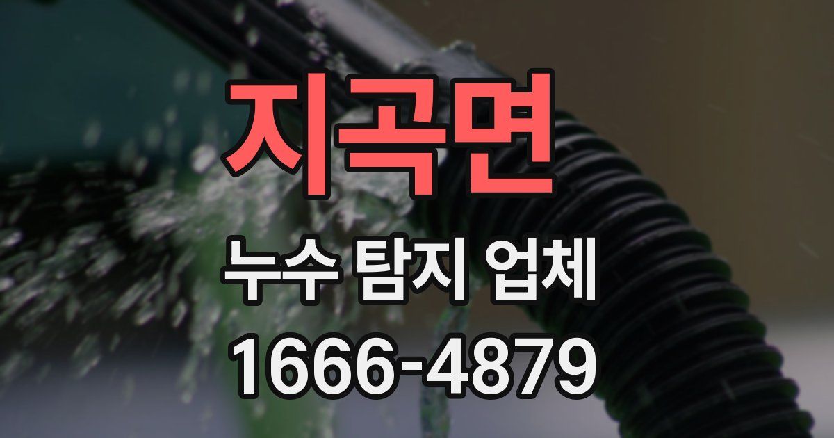 지곡면 누수 탐지 업체