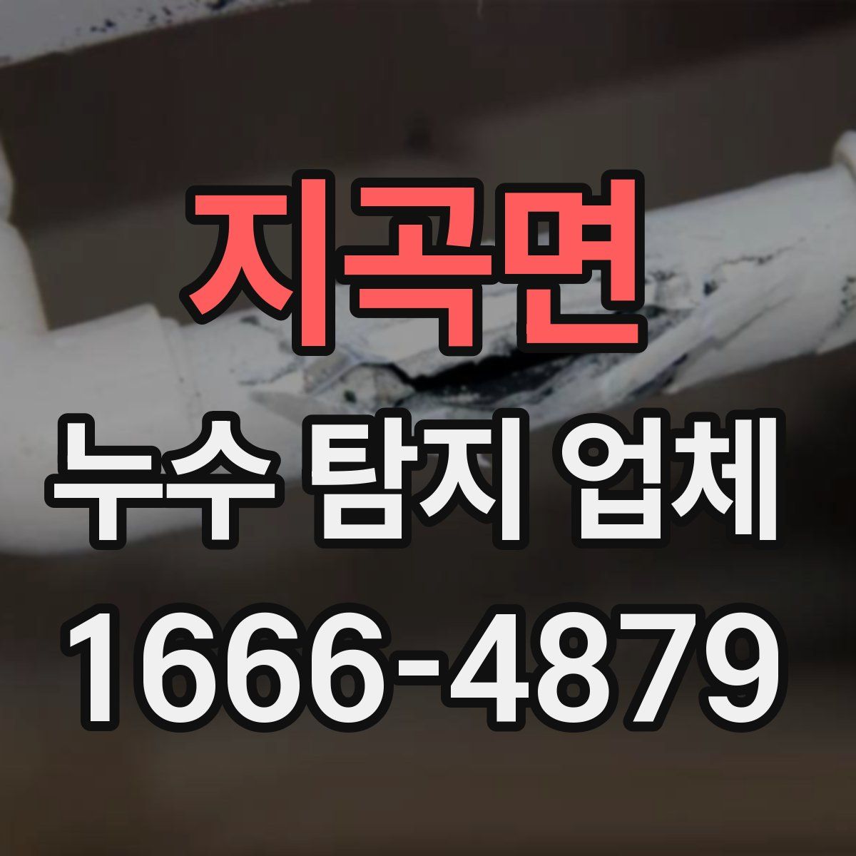 지곡면 누수 탐지 업체