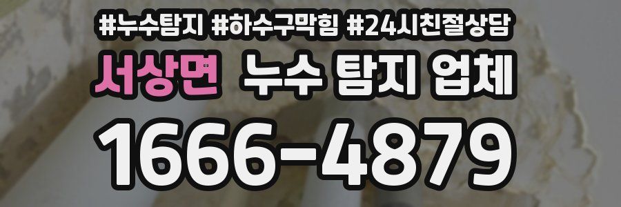 서상면 누수 탐지 업체