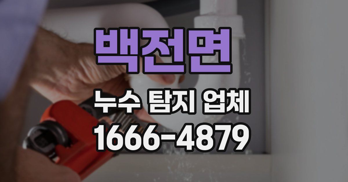 백전면 누수 탐지 업체