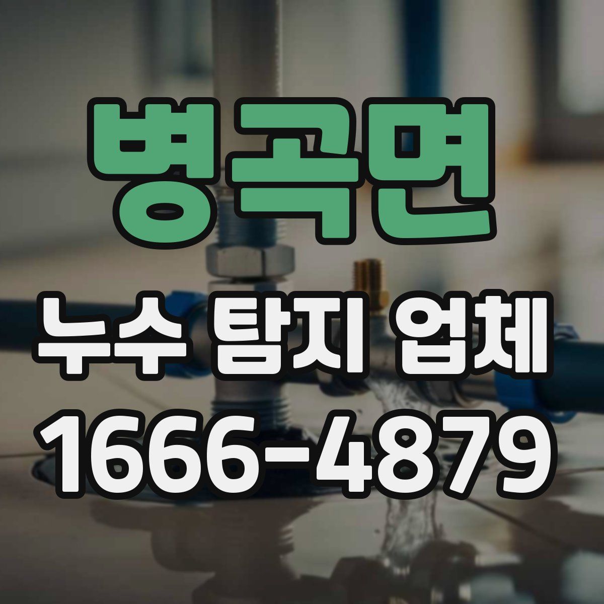 병곡면 누수 탐지 업체