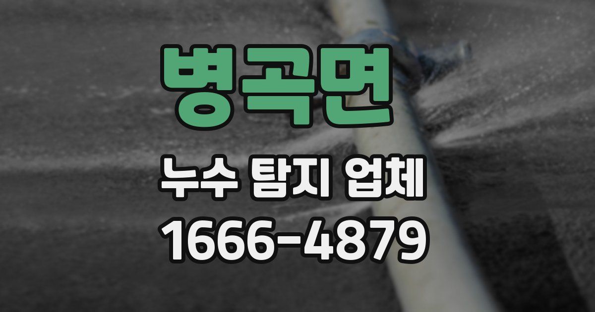 병곡면 누수 탐지 업체