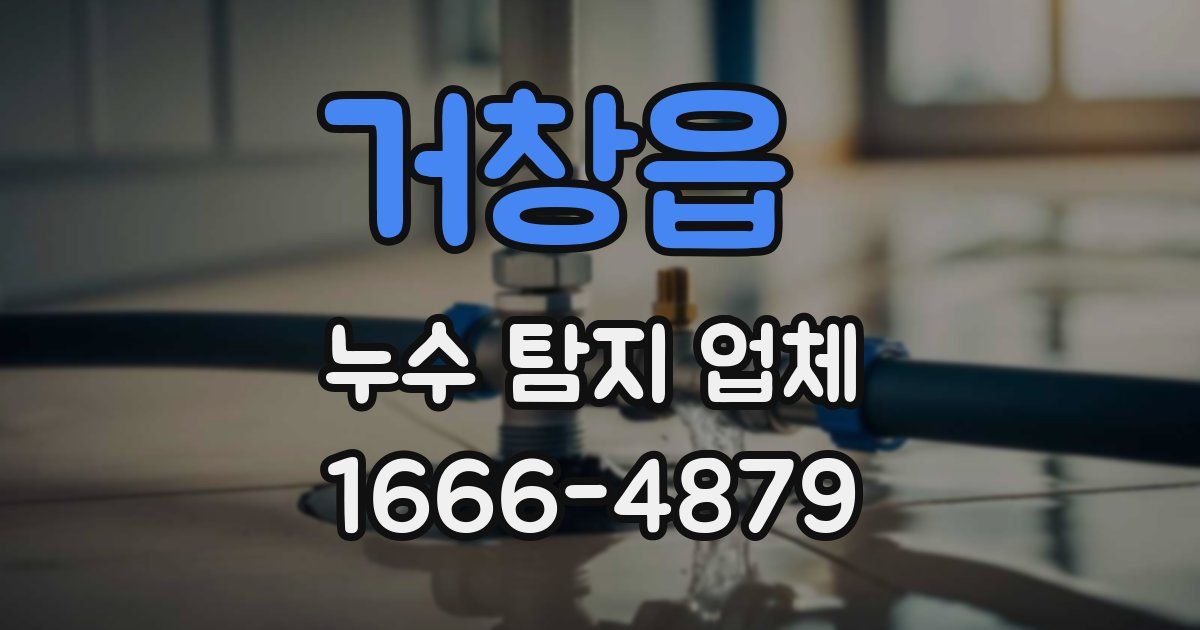 거창읍 누수 탐지 업체