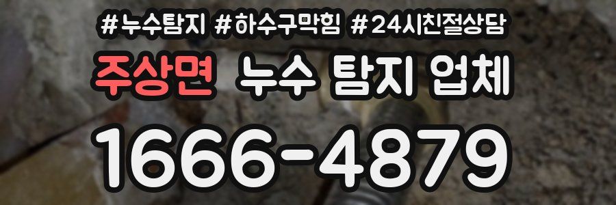주상면 누수 탐지 업체