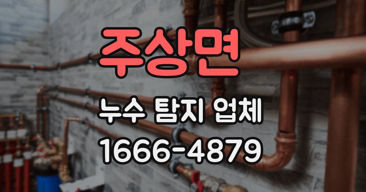 주상면 누수 탐지 업체