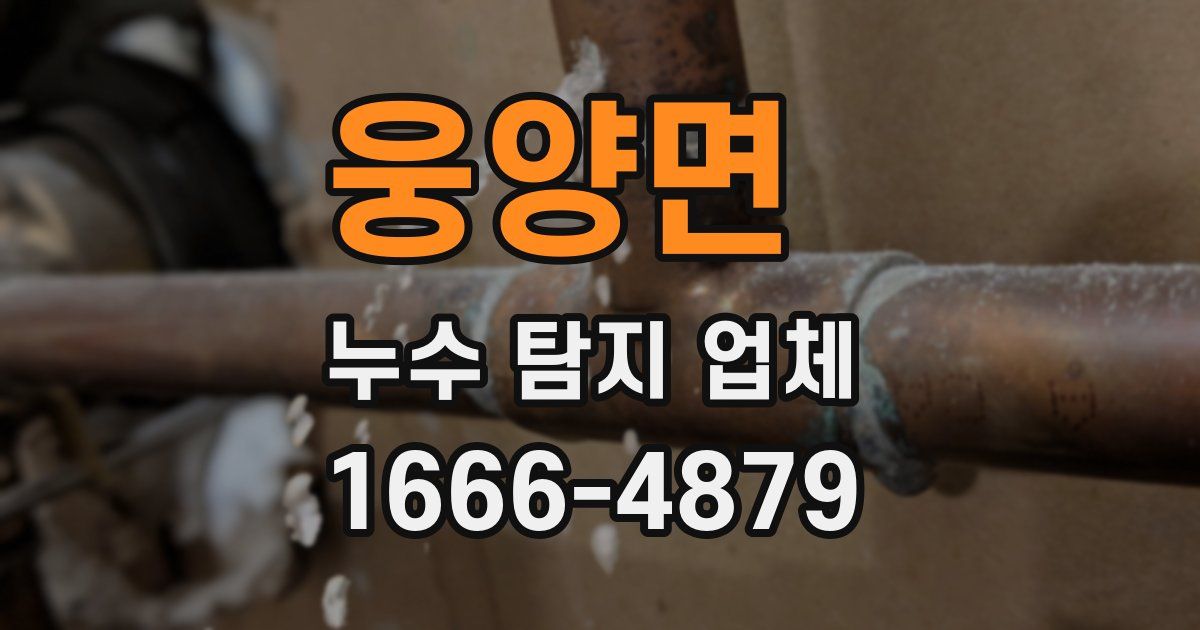 웅양면 누수 탐지 업체
