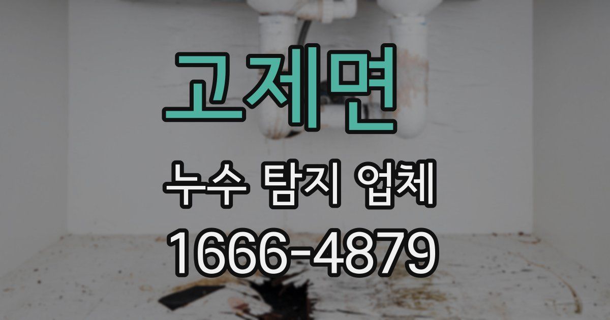 고제면 누수 탐지 업체