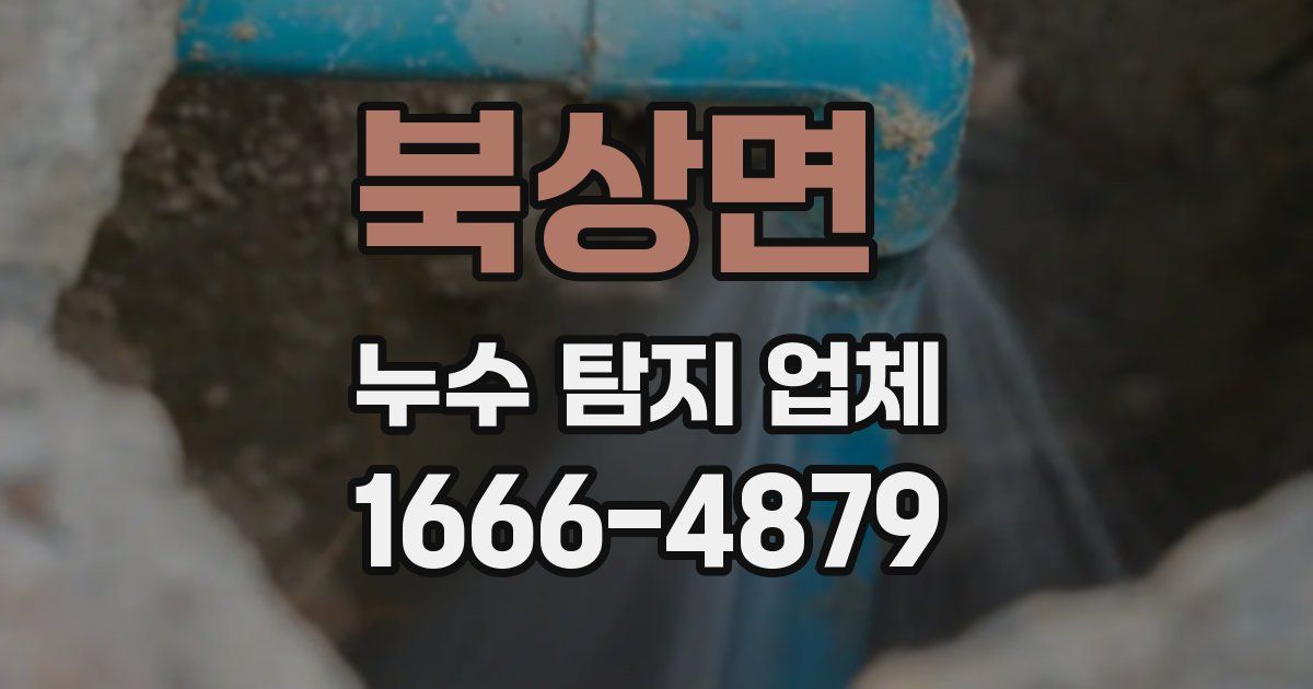 북상면 누수 탐지 업체