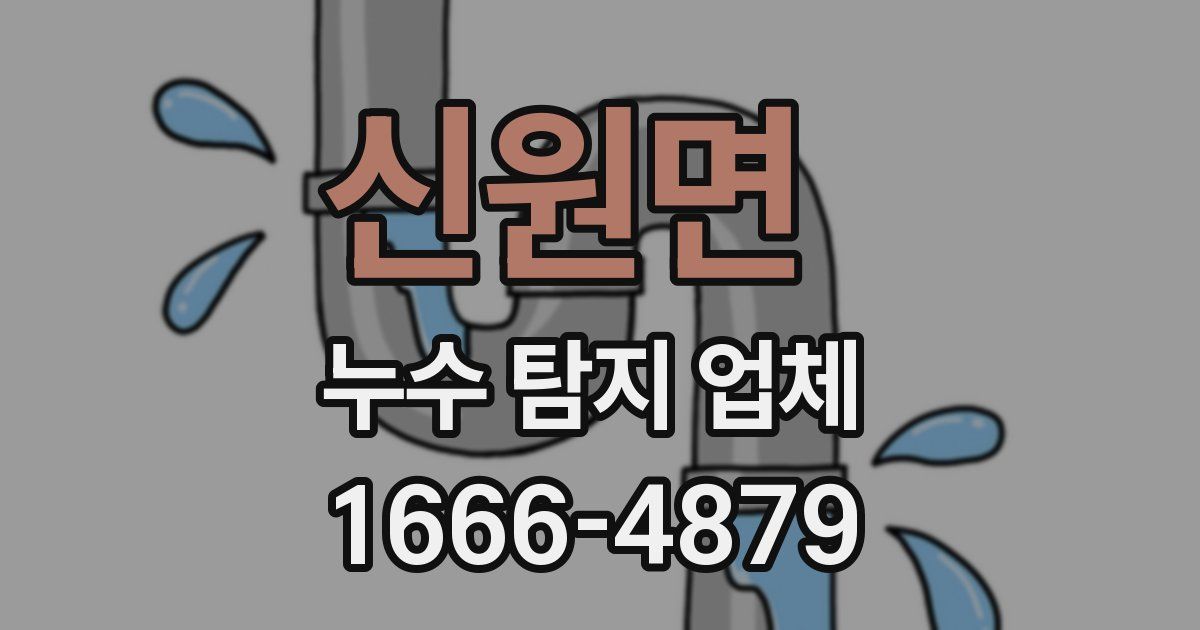 신원면 누수 탐지 업체
