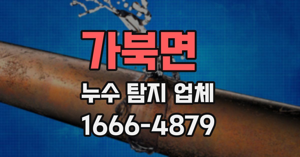 가북면 누수 탐지 업체