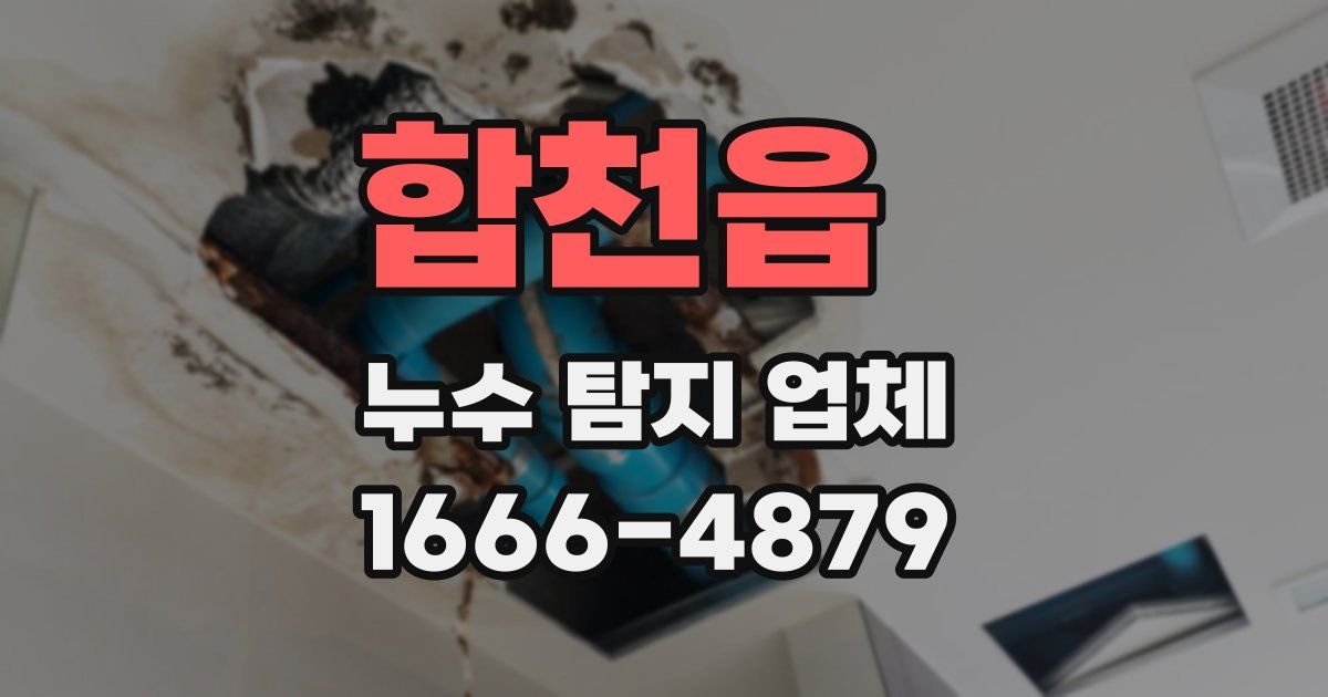 합천읍 누수 탐지 업체
