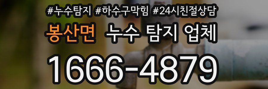 봉산면 누수 탐지 업체