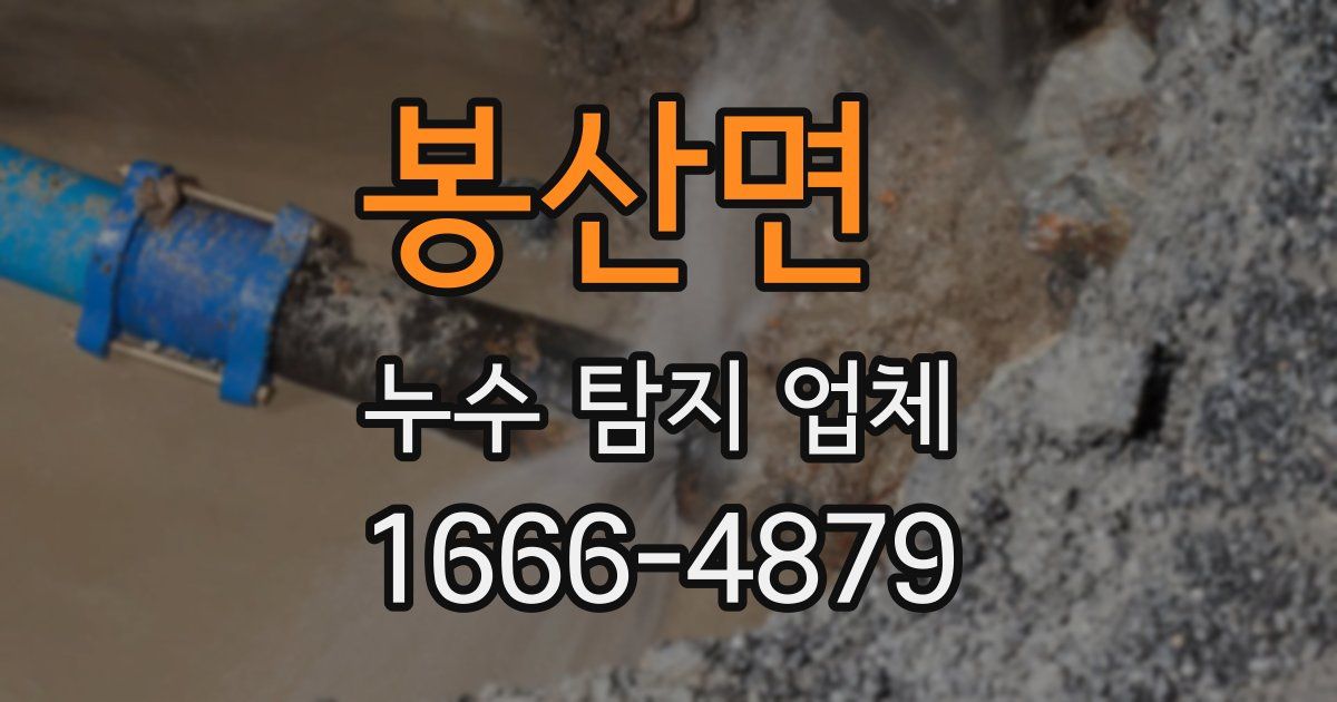 봉산면 누수 탐지 업체