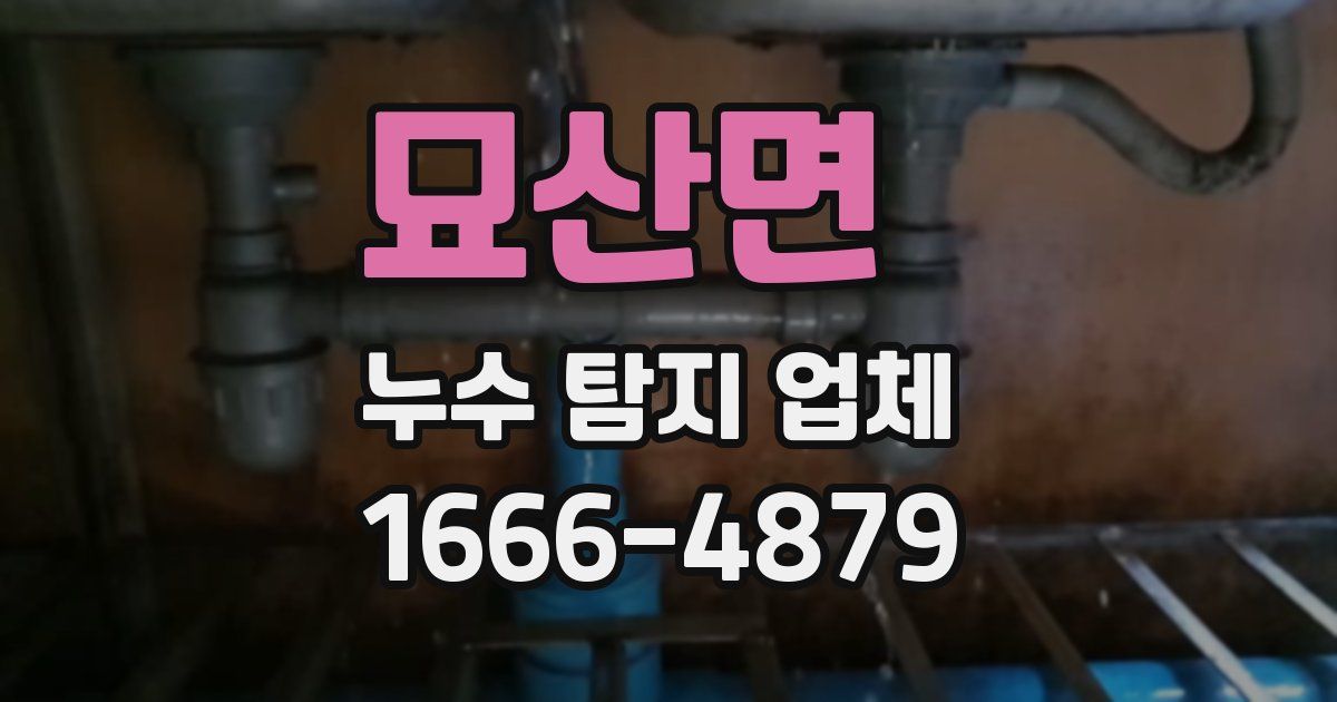 묘산면 누수 탐지 업체