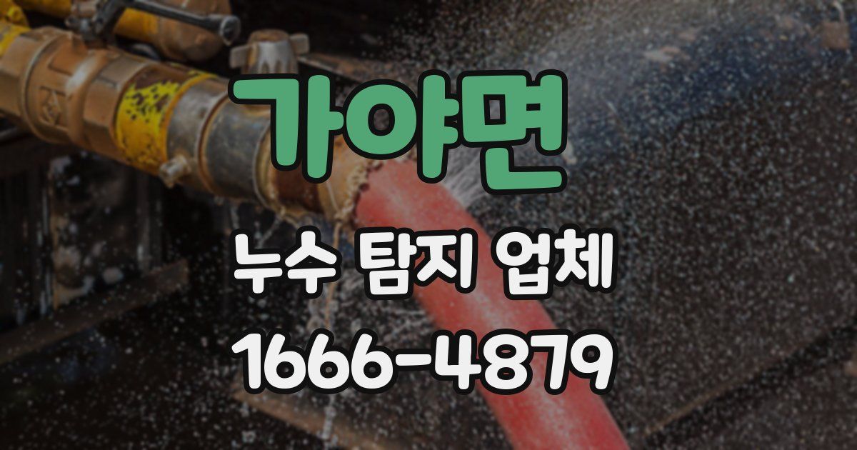가야면 누수 탐지 업체