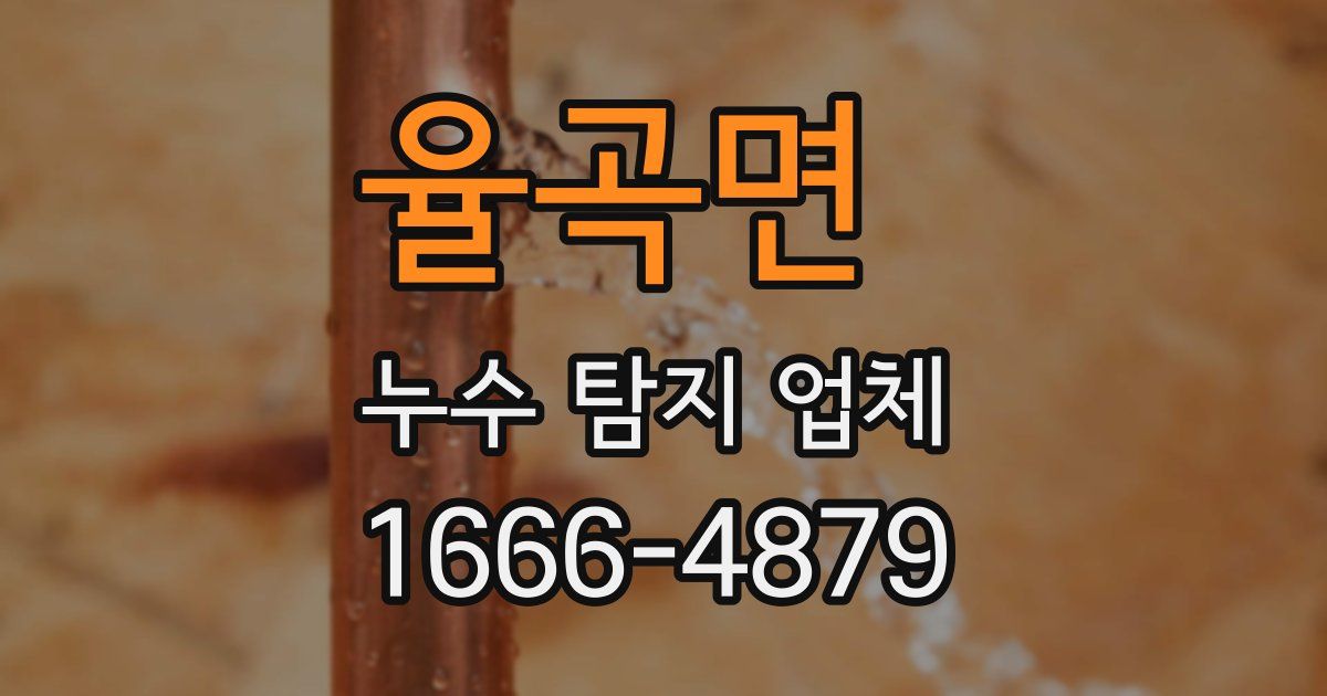 율곡면 누수 탐지 업체