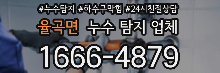 율곡면 누수 탐지 업체