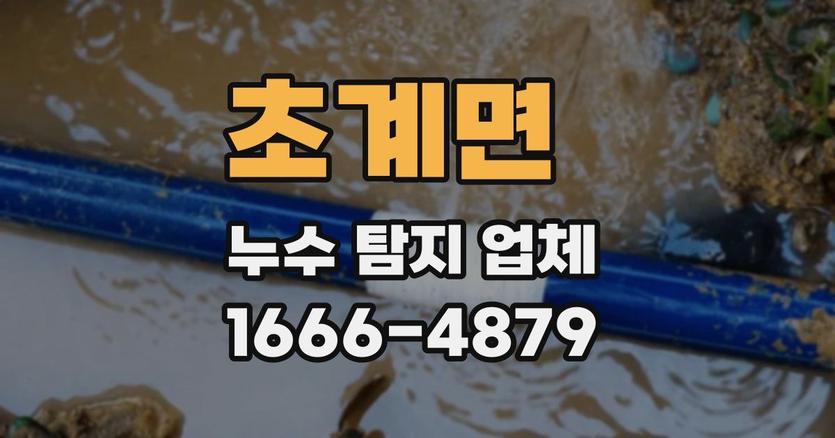 초계면 누수 탐지 업체