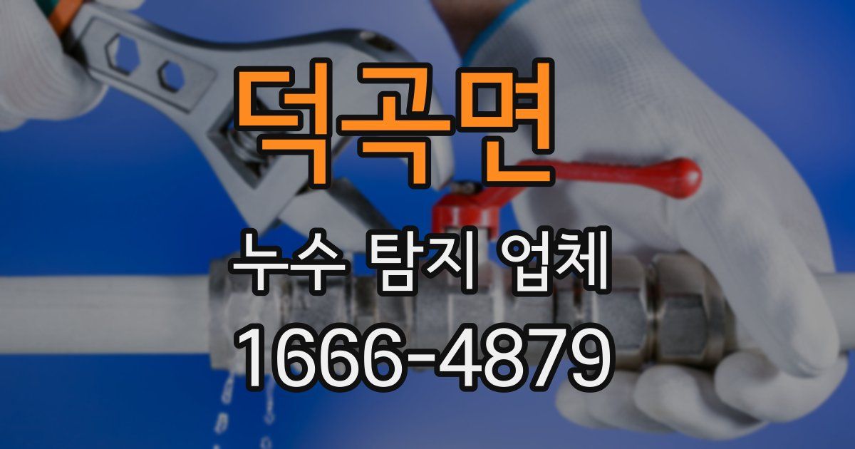 덕곡면 누수 탐지 업체