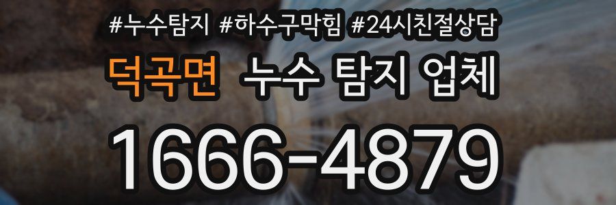 덕곡면 누수 탐지 업체