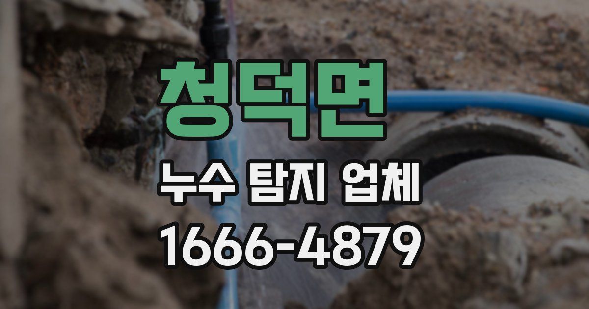 청덕면 누수 탐지 업체