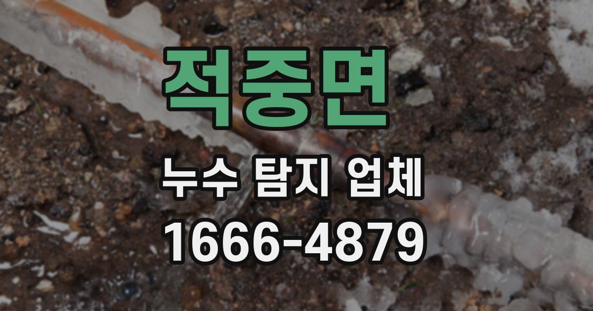 적중면 누수 탐지 업체