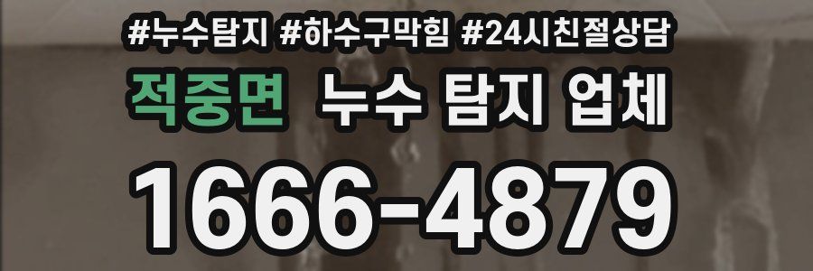적중면 누수 탐지 업체