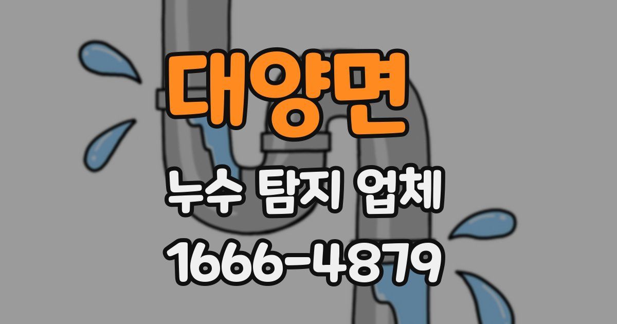 대양면 누수 탐지 업체
