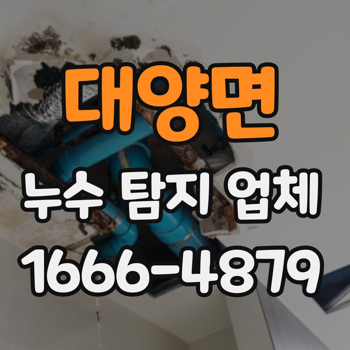 대양면 누수 탐지 업체