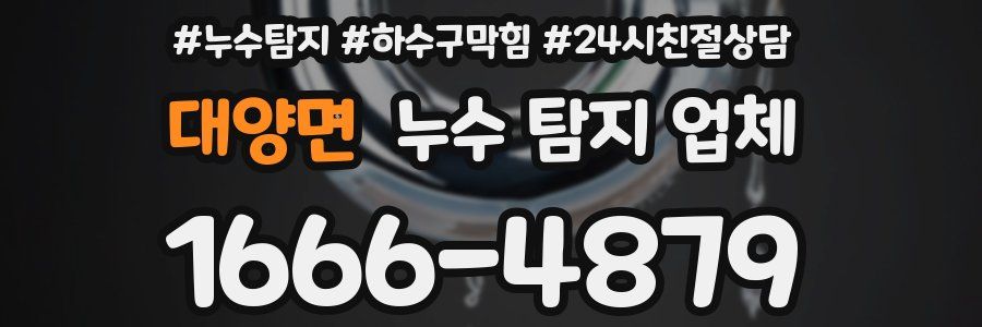 대양면 누수 탐지 업체