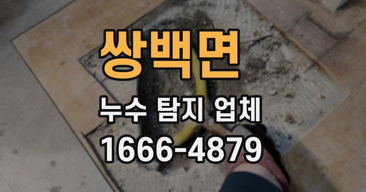 쌍백면 누수 탐지 업체