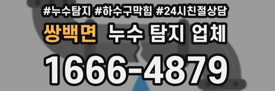 쌍백면 누수 탐지 업체