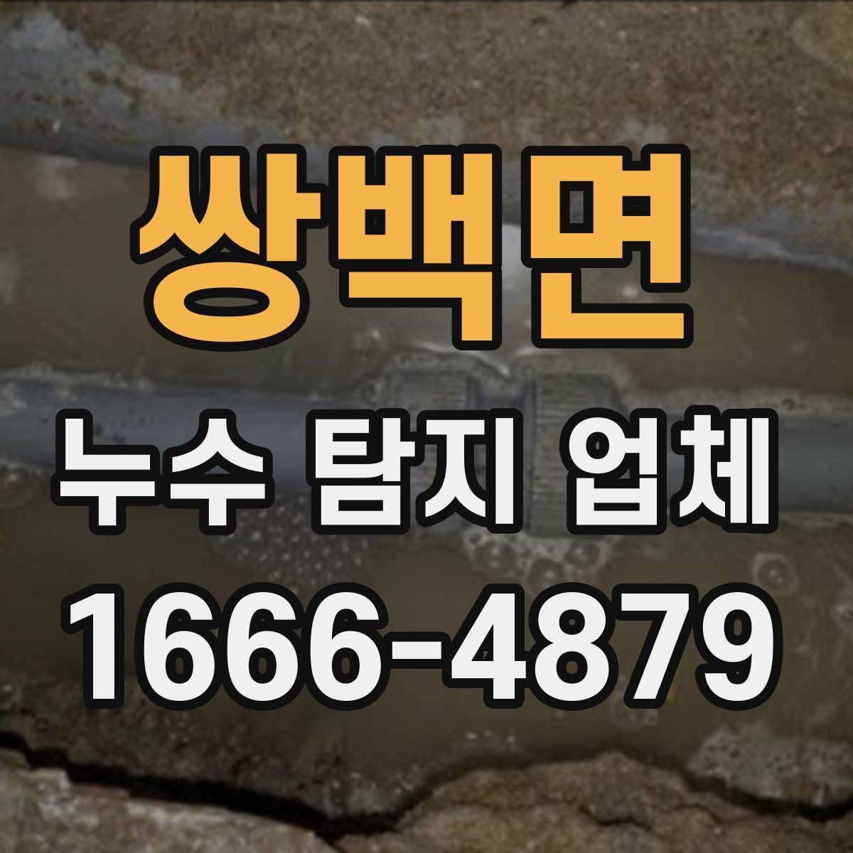 쌍백면 누수 탐지 업체